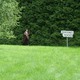 DSCF0166