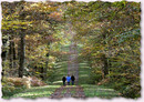foret loches
